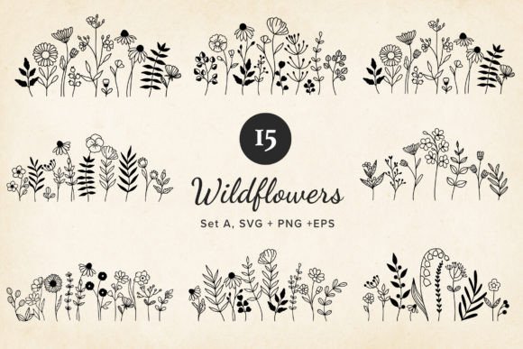 Download Set 15 Minimal Wildflower SVG, Handdrawn - Premium Resources
